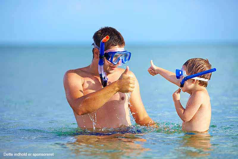 Snorkling ved Vestsjælland Snorkling ved Vestsjælland